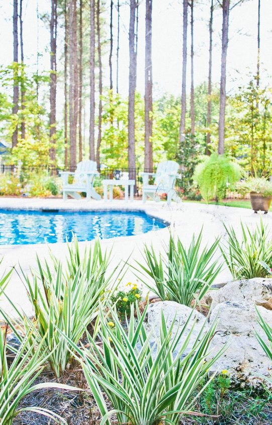 View More: http://ashleystephen.pass.us/burkirrigation