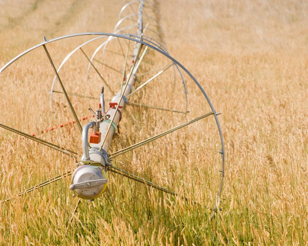 Turf farm Irrigation system on the farm field.