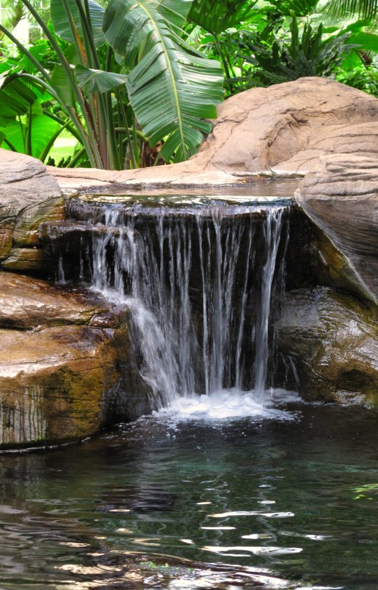 Pond and waterfall in my garden.