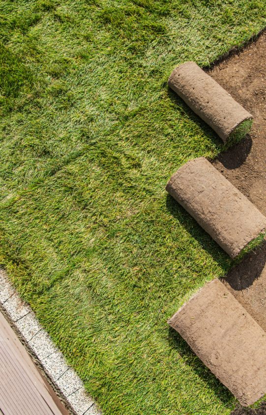 Landscaping Industry. Rolls of Newly Installed Grass Turfs Next to Swimming Pool Deck. Industrial Theme.