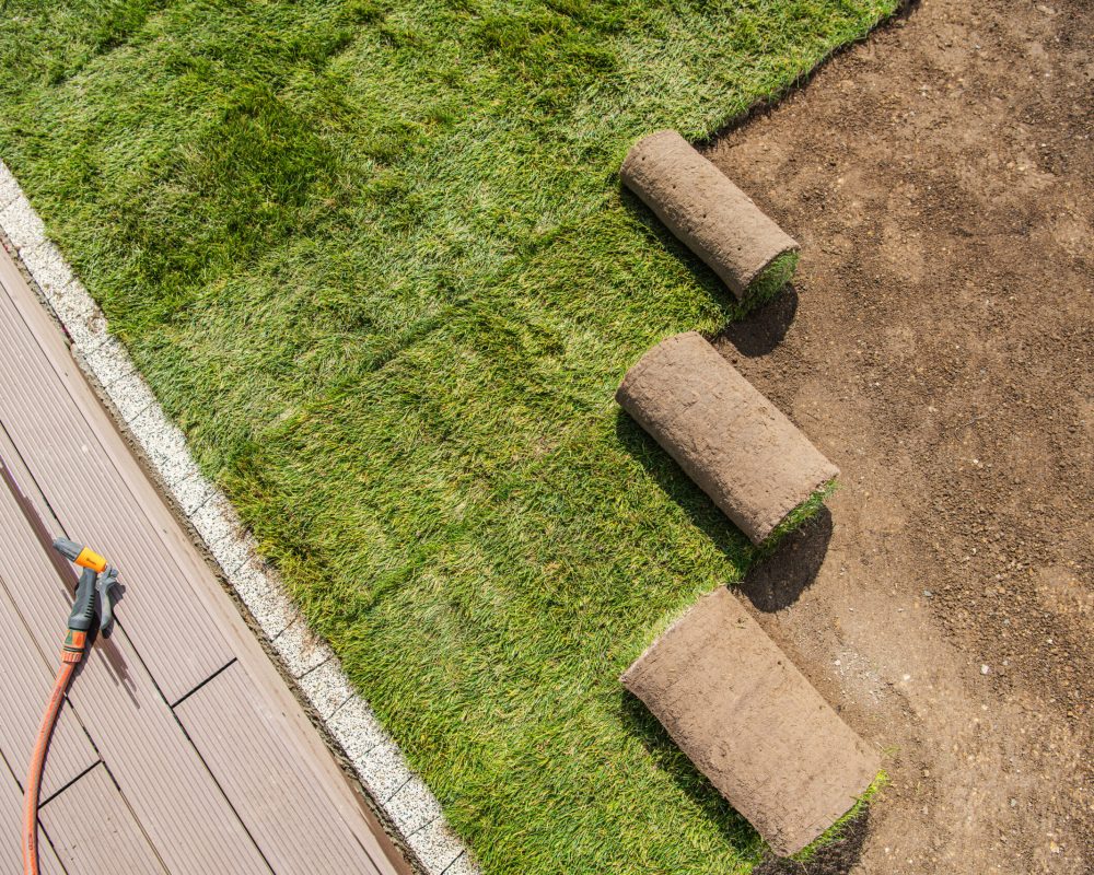 Landscaping Industry. Rolls of Newly Installed Grass Turfs Next to Swimming Pool Deck. Industrial Theme.